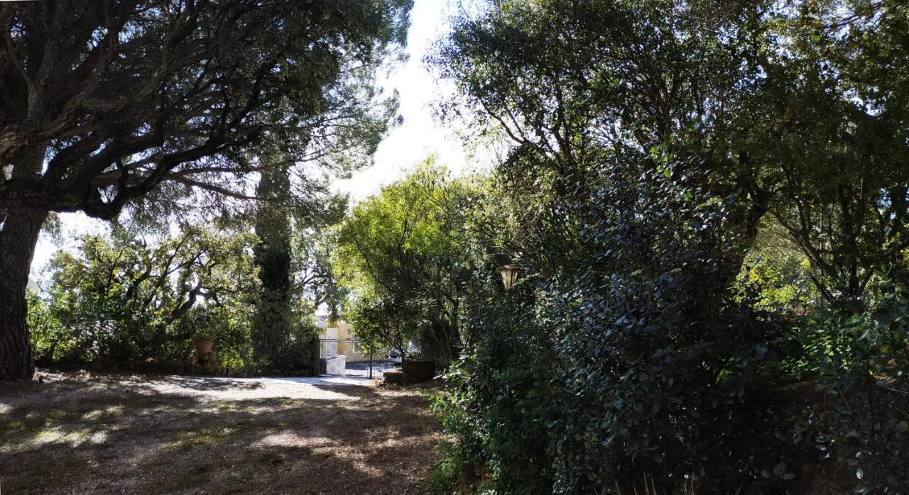 Villa Les Trois Chenes, Piscine Privee & Vue Mer Sur Golfe De Saint Tropez Ле Исамбр Екстериор снимка